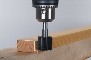 Wolfcraft puidufrees trellile 25x22mm цена и информация | Механические инструменты | kaup24.ee