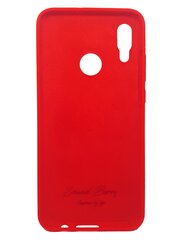 Силиконовый чехол SoundBerry для Samsung Galaxy S10 PLUS, красный (full silicone) цена и информация | Чехлы для телефонов | kaup24.ee