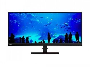 Lenovo 61F3GAT1EU, 34" цена и информация | Мониторы | kaup24.ee