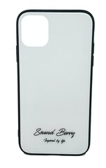 Чехол TEMPERED GLASS SoundBerry для Samsung Galaxy S10 цена и информация | Чехлы для телефонов | kaup24.ee