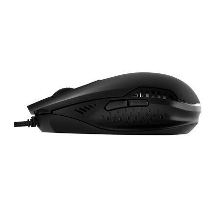 Optiline hiir ACME MS12 Ergonomic mouse цена и информация | Hiired | kaup24.ee