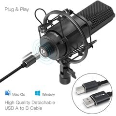 Студийный конденсаторный микрофон FIFINE K780A, комплект цена и информация | Микрофоны | kaup24.ee