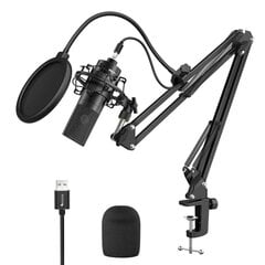 Stuudio mikrofoni komplekt Fifine K780A цена и информация | Микрофоны | kaup24.ee