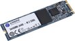 Kingston SA400M8/480G hind ja info | Sisemised kõvakettad (HDD, SSD, Hybrid) | kaup24.ee
