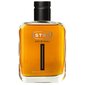 STR8 Original EDT meestele 100 ml hind ja info | Meeste parfüümid | kaup24.ee