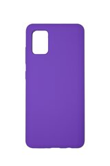 Силиконовый чехол SoundBerry для SAMSUNG GALAXY S20, PURPLE (full silicone) цена и информация | Чехлы для телефонов | kaup24.ee