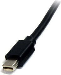 StarTech, DisplayPort Mini - DisplayPort Mini, 1 m hind ja info | Kaablid ja juhtmed | kaup24.ee