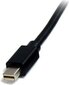 StarTech, DisplayPort Mini - DisplayPort Mini, 2 m hind ja info | Kaablid ja juhtmed | kaup24.ee