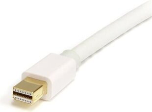 StarTech, DisplayPort Mini - DisplayPort, 2м цена и информация | Кабели и провода | kaup24.ee