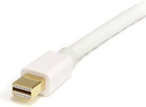 StarTech, DisplayPort Mini - DisplayPort, 2 m hind ja info | Kaablid ja juhtmed | kaup24.ee