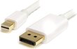 StarTech, DisplayPort Mini - DisplayPort, 2 m hind ja info | Kaablid ja juhtmed | kaup24.ee