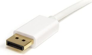StarTech, DisplayPort Mini - DisplayPort, 2 m hind ja info | Kaablid ja juhtmed | kaup24.ee