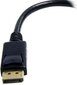 StarTech DP2DVI2 цена и информация | USB jagajad, adapterid | kaup24.ee