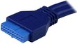 Kaardilugeja Startech 35FCREADBU3 hind ja info | USB jagajad, adapterid | kaup24.ee