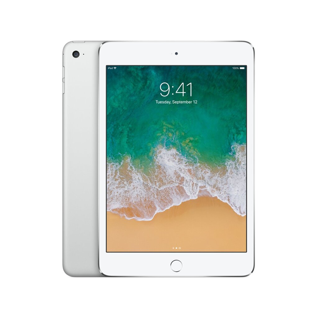 Apple iPad Mini 4 WiFi (128GB), Hõbedane, MK9P2HC/A цена и информация | Tahvelarvutid | kaup24.ee