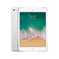 Apple iPad Mini 4 WiFi (128GB), Hõbedane, MK9P2HC/A цена и информация | Tahvelarvutid | kaup24.ee