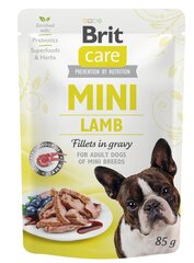 Brit Care Mini pouch Lamb fillets in gravy einekotike koertele 85g hind ja info | Konservid koertele | kaup24.ee