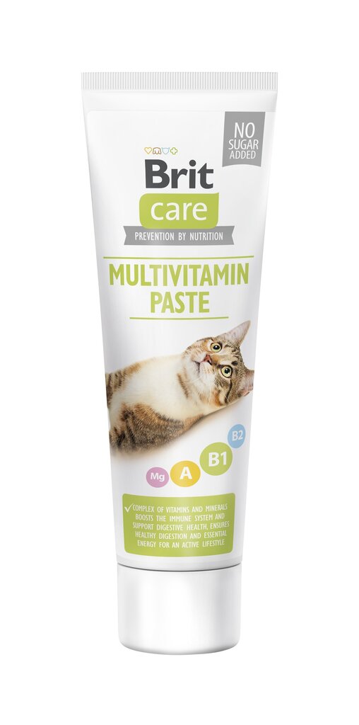 Brit Care Cat Multivitamiin pasta kassidele 100ml цена и информация | Vitamiinid, toidulisandid ja parasiitide vastased tooted | kaup24.ee