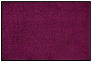 Uksematt Violet 60x80 cm цена и информация | Придверные коврики | kaup24.ee