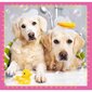 Pusle Trefl 3in1 Dogs in the bath hind ja info | Pusled | kaup24.ee