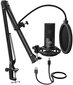 Stuudio mikrofoni komplekt Fifine T669 цена и информация | Mikrofonid | kaup24.ee