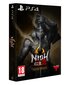 PlayStation 4 Mäng Nioh 2 Special Edition hind ja info | Arvutimängud, konsoolimängud | kaup24.ee
