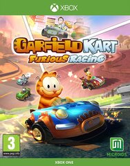 Xbox One mäng Garfield Kart Furious Racing цена и информация | Компьютерные игры | kaup24.ee