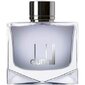 Dunhill Black EDT meestele 100 ml hind ja info | Meeste parfüümid | kaup24.ee