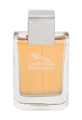 Tualettvesi Jaguar Excellence EDT meestele 100 ml hind ja info | Jaguar Kosmeetika, parfüümid | kaup24.ee