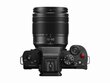 Panasonic Lumix G DC-G100M (110) + 12-60mm(H-FS12060) (Black) hind ja info | Fotoaparaadid | kaup24.ee