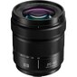 Panasonic LUMIX S 20-60mm F3.5-5.6 (S-R2060) hind ja info | Objektiivid | kaup24.ee