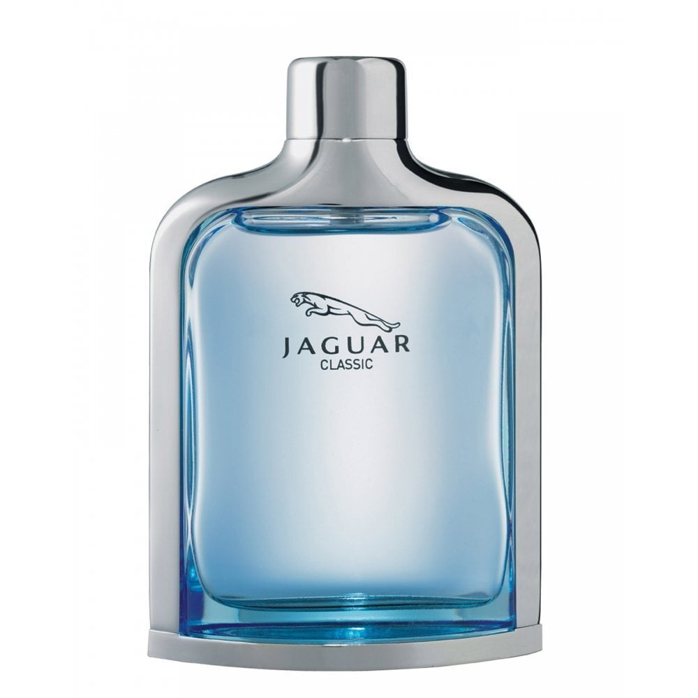 Jaguar New Classic EDT meestele 100 ml цена и информация | Meeste parfüümid | kaup24.ee