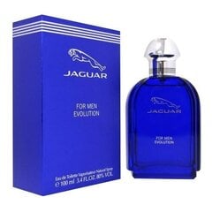 Jaguar for Men Evolution EDT для мужчин 100 мл цена и информация | Мужские духи | kaup24.ee