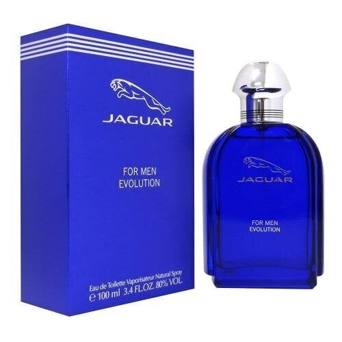 Jaguar for Men Evolution EDT meestele 100 ml цена и информация | Meeste parfüümid | kaup24.ee