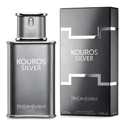 Tualettvesi Yves Saint Laurent Kouros Silver EDT meestele 100 ml цена и информация | Мужские духи | kaup24.ee