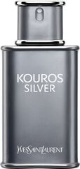 Tualettvesi Yves Saint Laurent Kouros Silver EDT meestele 100 ml hind ja info | Meeste parfüümid | kaup24.ee