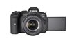 Canon EOS R6 + RF 24-105mm F4-7.1 IS STM + Mount Adapter EF-EOS R hind ja info | Fotoaparaadid | kaup24.ee
