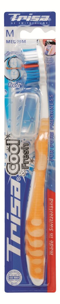 Keskmise kõvadusega hambahari Cool & Fresh Trisa, 1 tk цена и информация | Suuhügieen | kaup24.ee