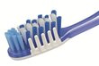 Keskmise kõvadusega hambahari Professional Care Trisa, 1 tk цена и информация | Suuhügieen | kaup24.ee