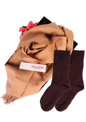 Naiste alpakavillast sall ja Doora sokkidega kinkekarp, bordoo/beež hind ja info | Naiste sokid | kaup24.ee