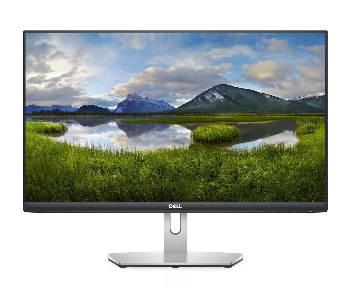 Dell S2421HN цена и информация | Monitorid | kaup24.ee