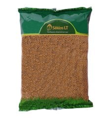 Sinepiseemned Valge Braco 1kg цена и информация | Газонные смеси | kaup24.ee