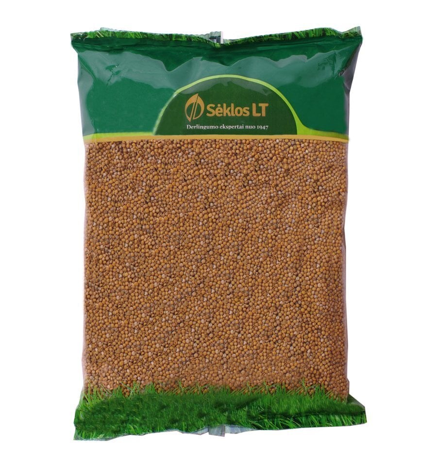 Sinepiseemned Valge Braco 1kg hind ja info | Murusegud | kaup24.ee