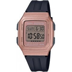 Мужские часы Casio Collection цена и информация | Женские часы | kaup24.ee