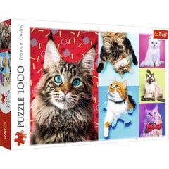 Pusle Trefl Happy Cats 1000 tk. hind ja info | Pusled | kaup24.ee