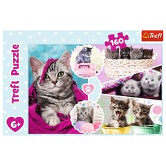 Головоломка Trefl Cute Cats, 160 д. цена и информация | Пазлы | kaup24.ee