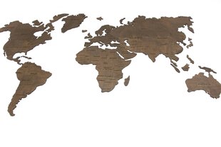 Деревянная карта мира цена и информация | Репродукции, картины | kaup24.ee