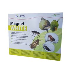 Putukatõrjevahend, Magnet White liimpüünis (20 x 25 cm) цена и информация | Насекомые | kaup24.ee