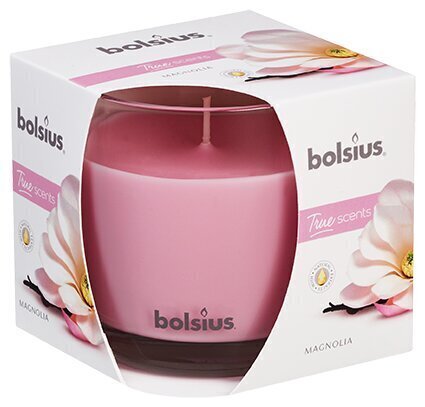 Lõhnaküünal Bolsius True Scents Magnolia hind ja info | Küünlad, küünlajalad | kaup24.ee
