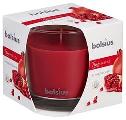 Ароматическая свеча Bolsius True Scents Pomegranate цена и информация | Подсвечники, свечи | kaup24.ee